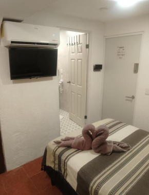 Casa Nance Alojamientos COBA Habitación con baño AC TV